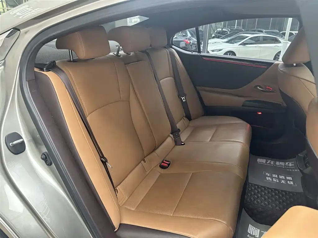 Lexus ES 2020 Model 300h Excellence Edition фото 18