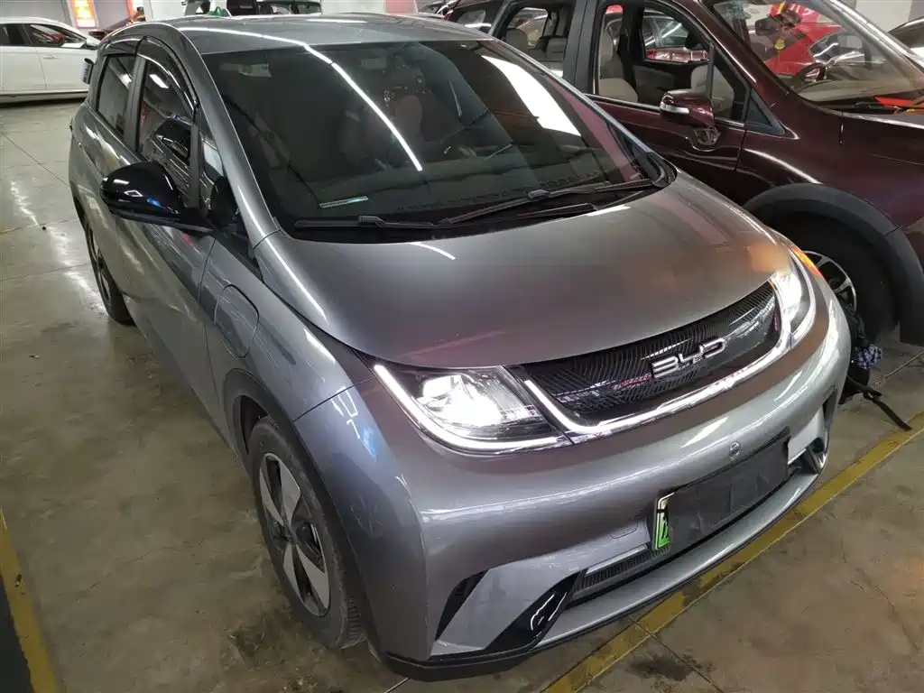 BYD Dolphin 2023 420km Freedom Edition фото 23
