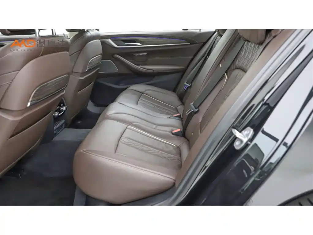 BMW 5 Series 2020 530Li Premium Luxury Package фото 7