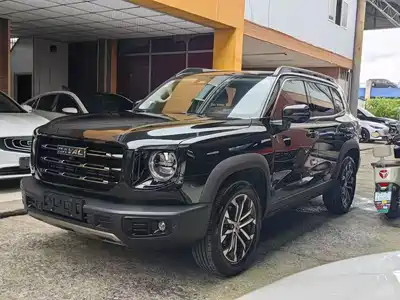 Haval Dargo