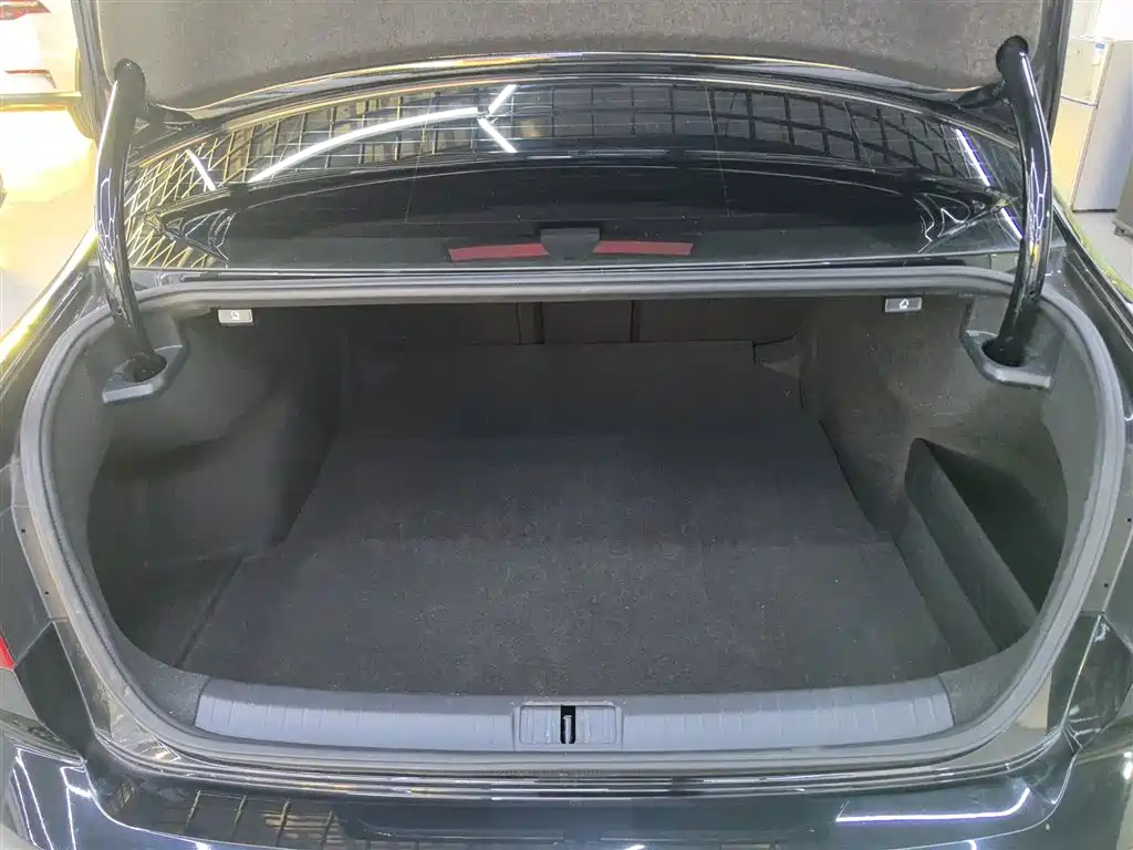 Volkswagen Magotan 2018 330TSI DSG Leading фото 18