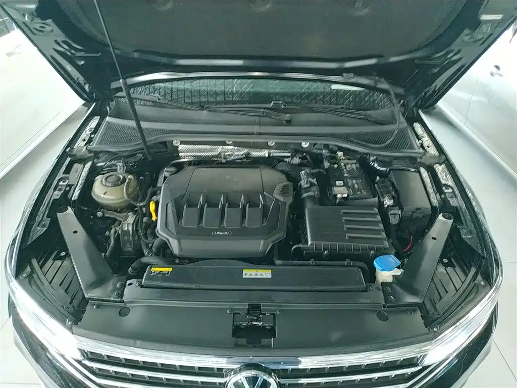 Volkswagen Magotan 2020 330TSI DSG Leading фото 20