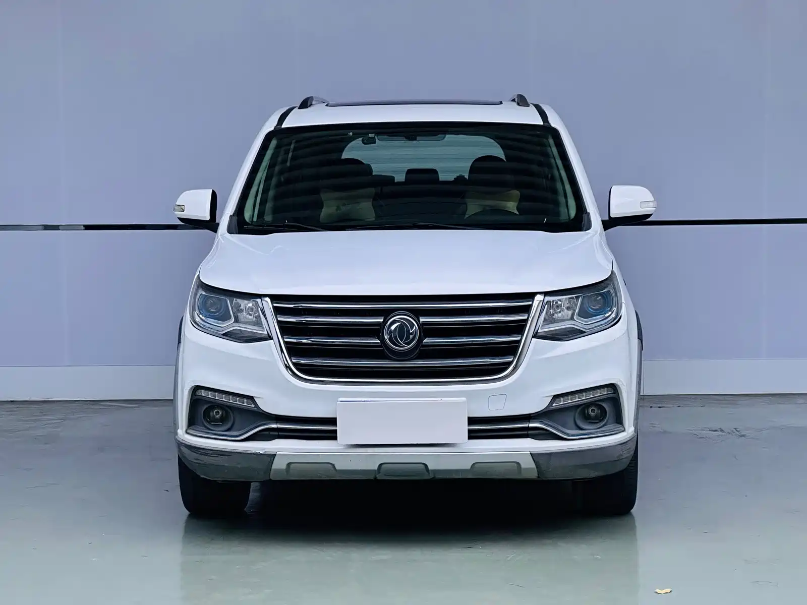 صورة 2 - Dongfeng Fengxing Fengxing SX6