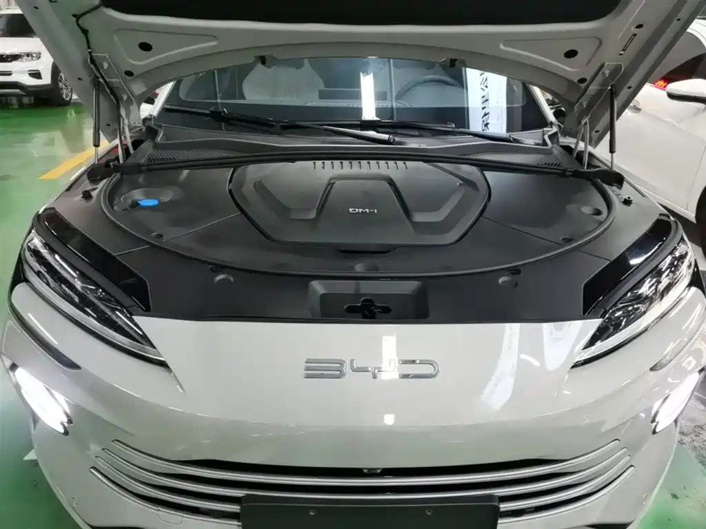BYD Song PLUS PHEV 2023 Champion Edition DM-i 150KM Flagship PLUS фото 20