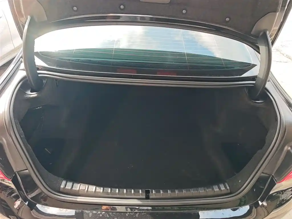BMW 5 Series 2018 Facelift 530Li Leading Luxury Package фото 18