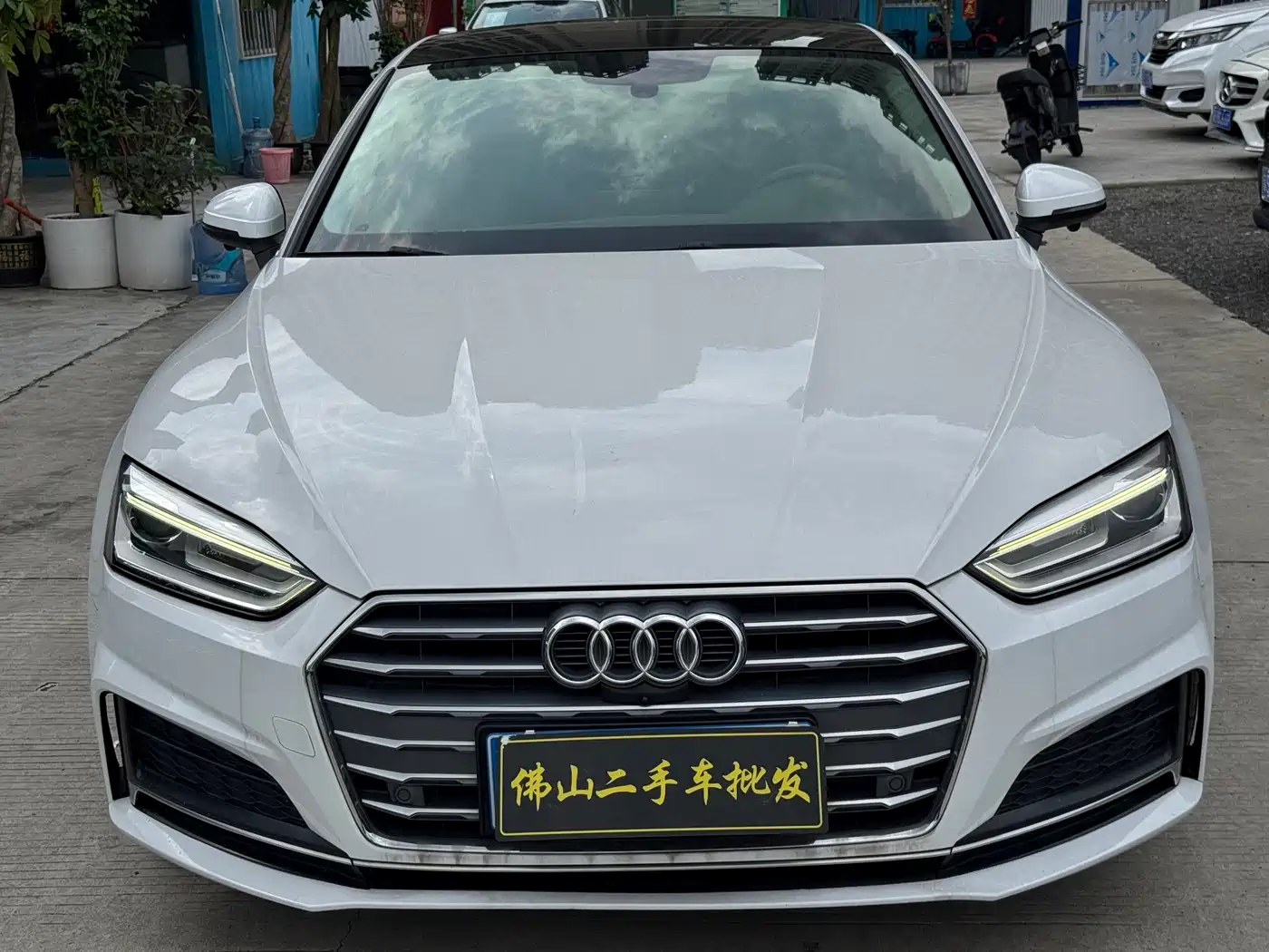 Audi A5 (Import) 2017 Coupe 40 TFSI Style фото 2