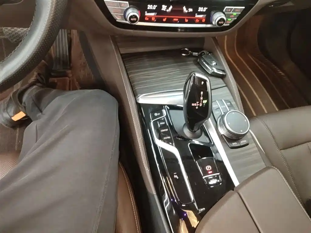 BMW 5 Series 2022 530Li Leading Luxury Package фото 14