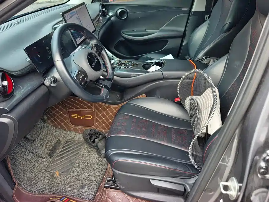 BYD e2 2023 2023 Luxury Model