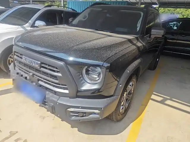 Haval Dargo 2.0T DCT, Дворняга