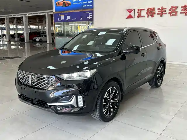  WEY Wey VV6 2021 2.0T 2WD Smart Enjoyment+