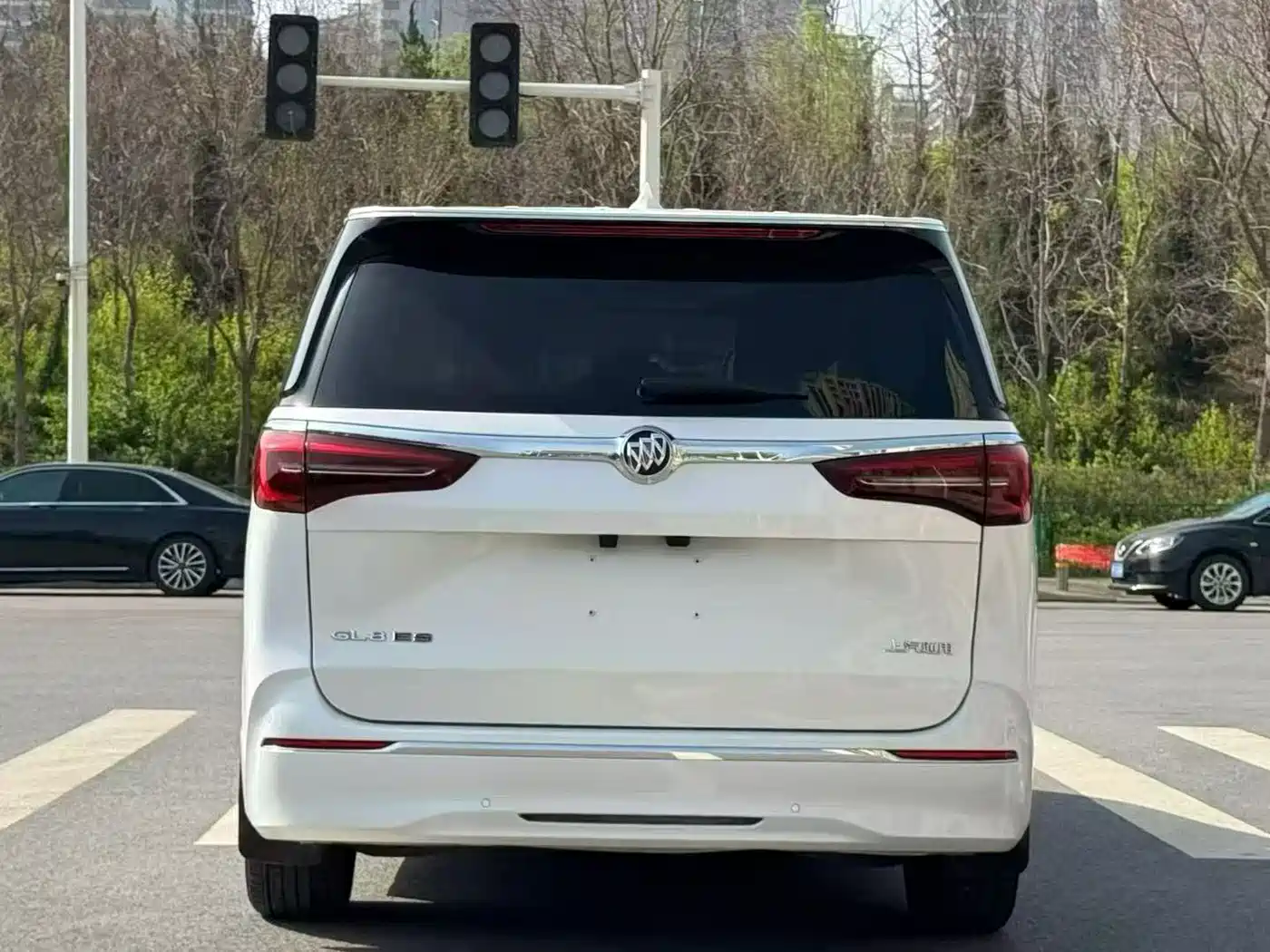 Buick GL8 2023 ES Landmaster Exclusive фото 8