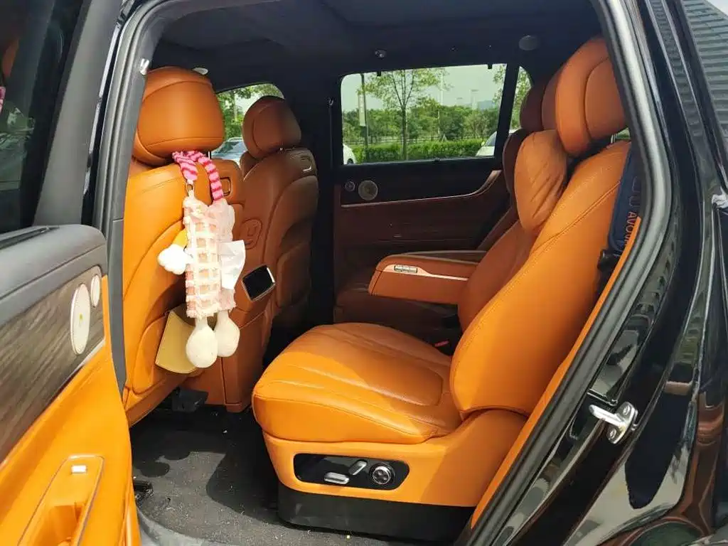 AITO Wenjie AITO M9 2024 Extended Range Ultra 42kWh 6-Seater фото 6