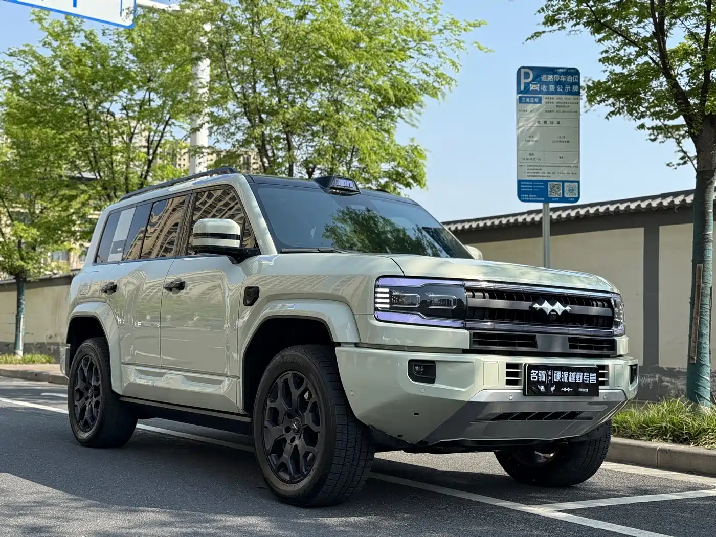 FANG CHENG BAO LEOPARD 5