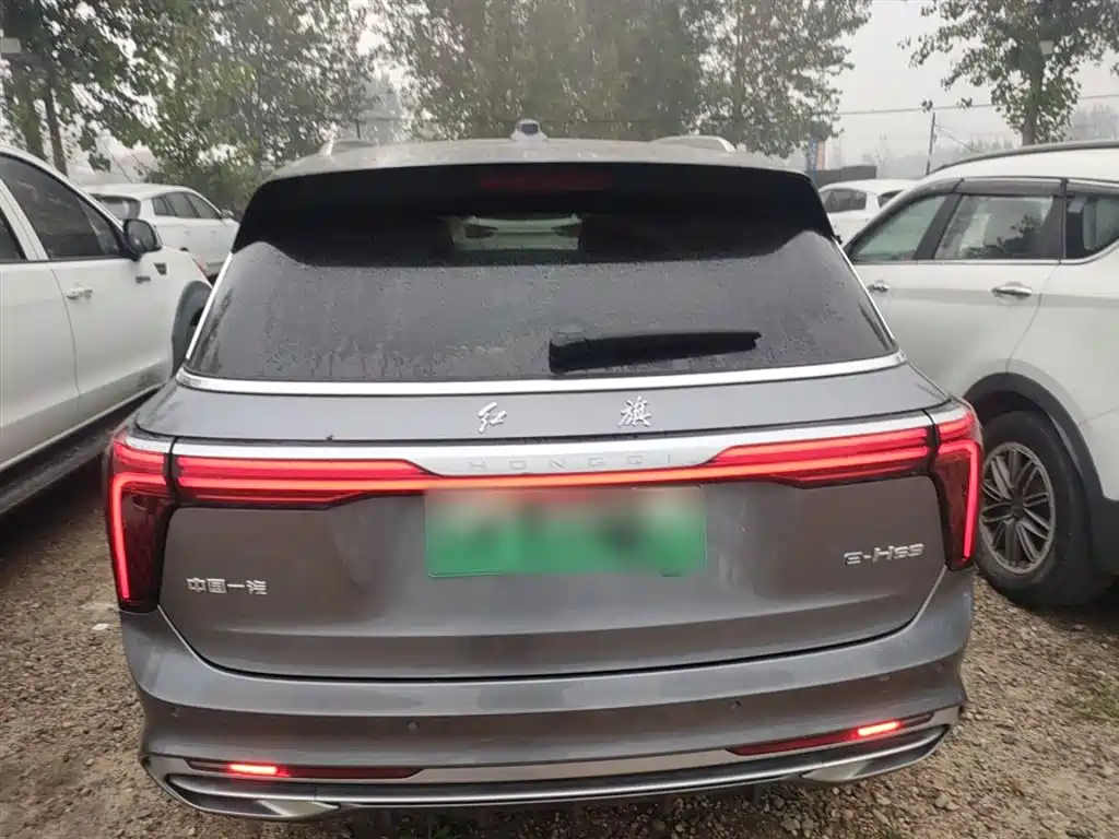 Hongqi E-HS9 2022 690km Qi Xiang Edition (6-seater) фото 22
