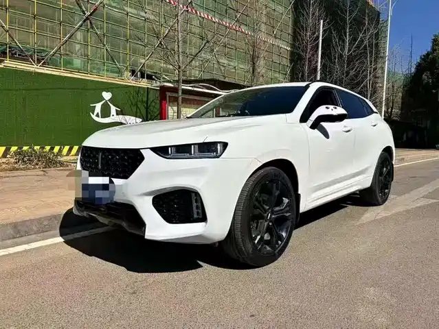 WEI PAI WEI BRAND VV7