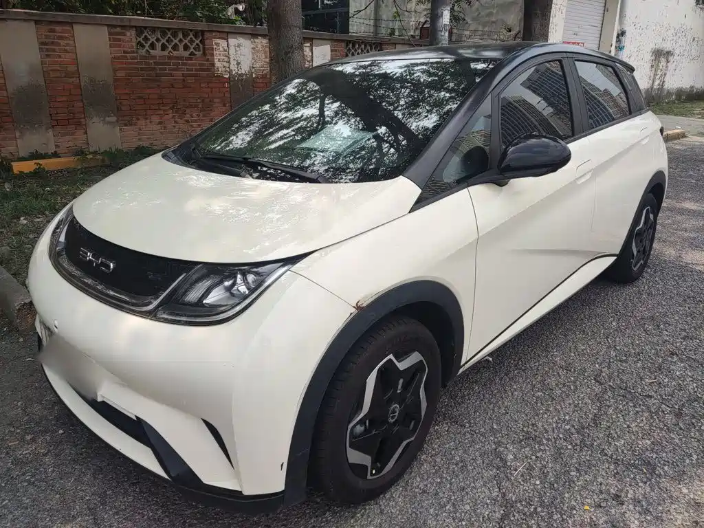 BYD Dolphin 2021