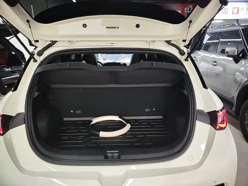 BYD Dolphin 2024 Glory Edition 420km Fashion Edition фото 19