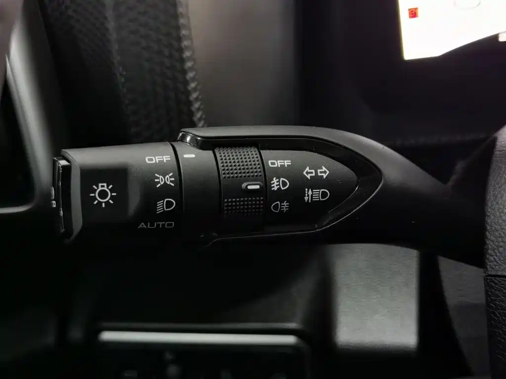 Haval Big Dog 2024 1.5T DCT Border Collie Edition фото 21
