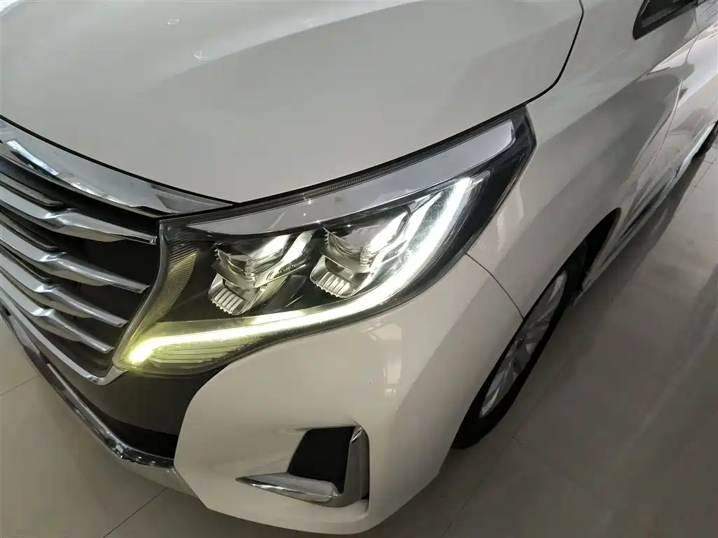 GAC Trumpchi Trumpchi M8 2020 Pilot 390T Premium Edition фото 24