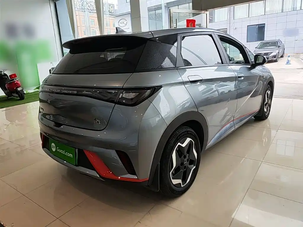 BYD Dolphin 2021 Model 405km Fashion Edition фото 6