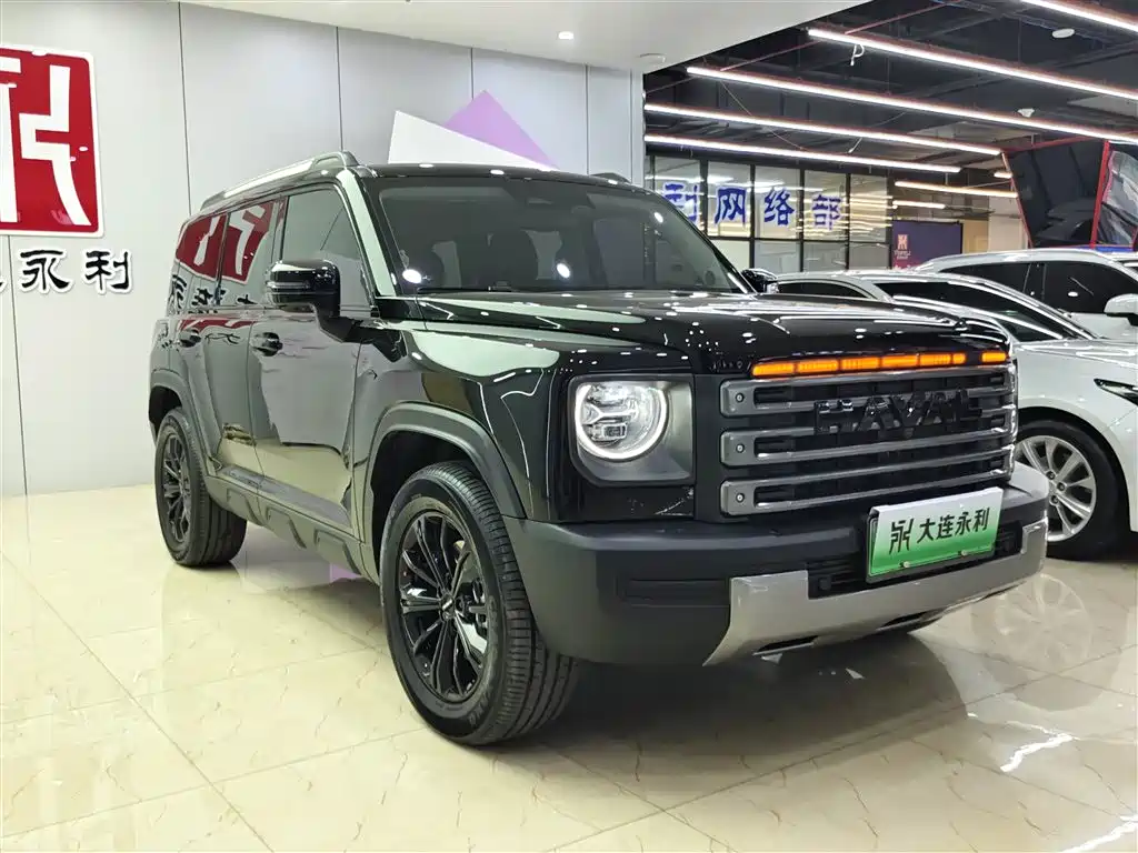 HAVAL RAPTORS NEW ENERGY