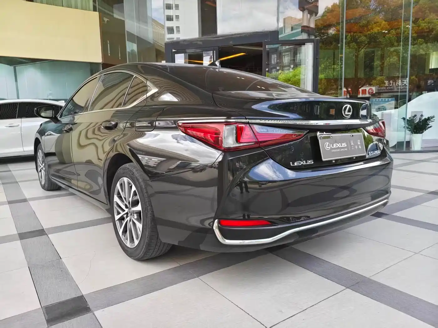 Lexus ES 2023 200 Excellence Edition фото 9