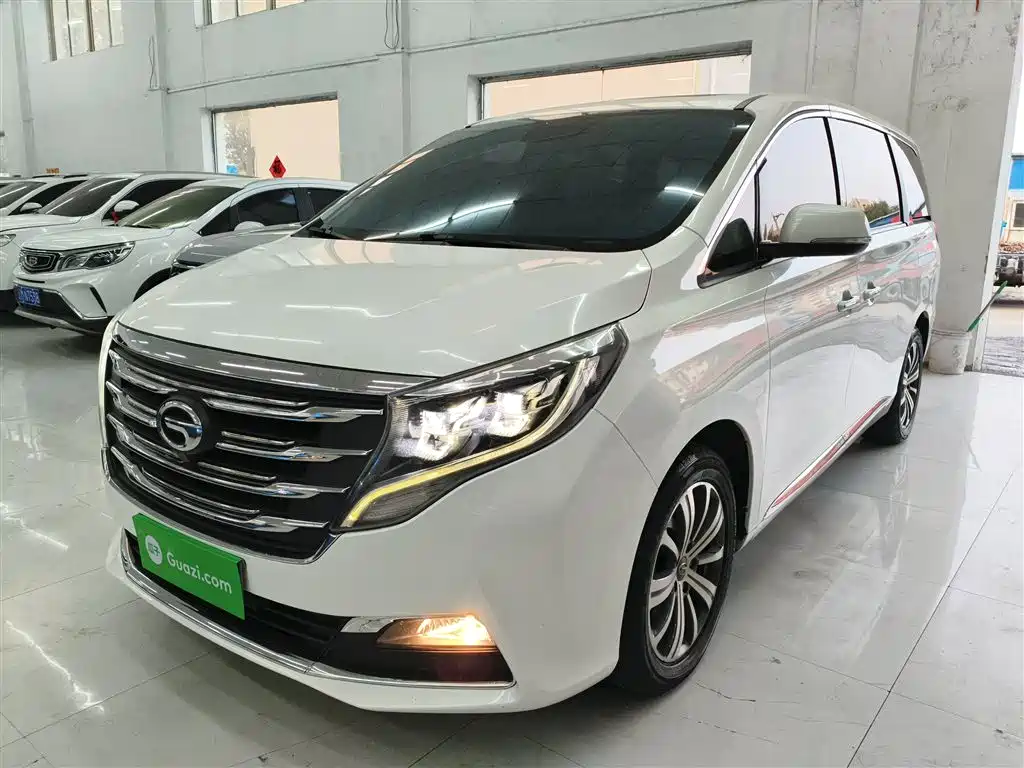 GAC Trumpchi Trumpchi M8 2018 320T Premium Edition фото 2