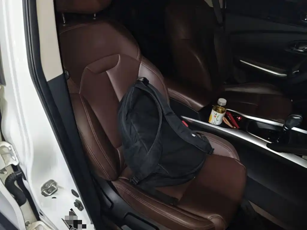 Renault Kadjar 2018 2017 2.0L 2WD Leading Edition