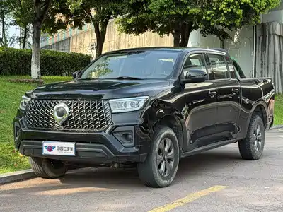 Great Wall Poer