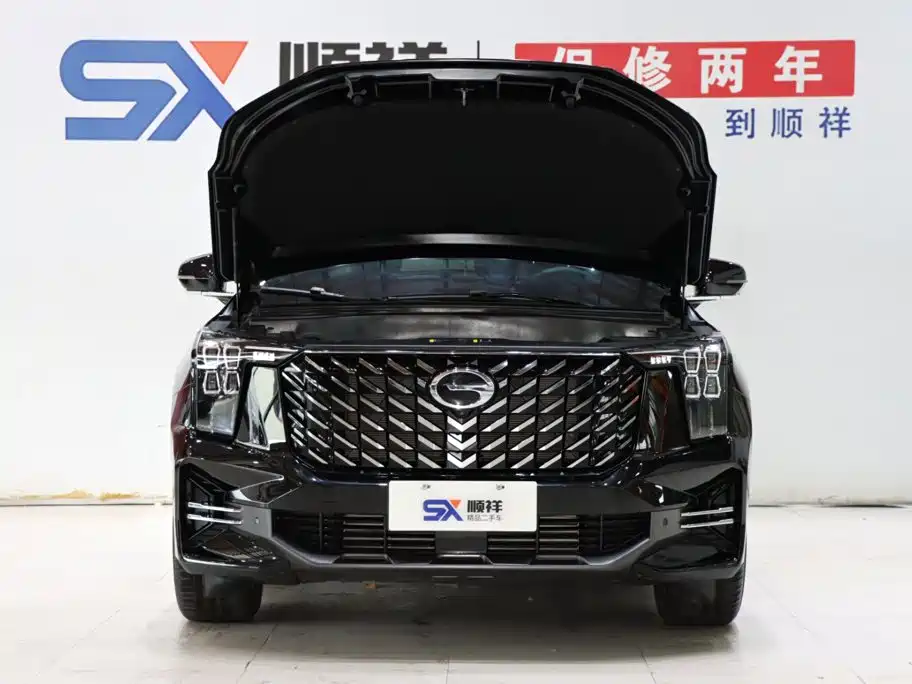 GAC Trumpchi GS8 2025 2025 Pilot Series 2.0TGDI 2WD Luxury Edition 5-seater