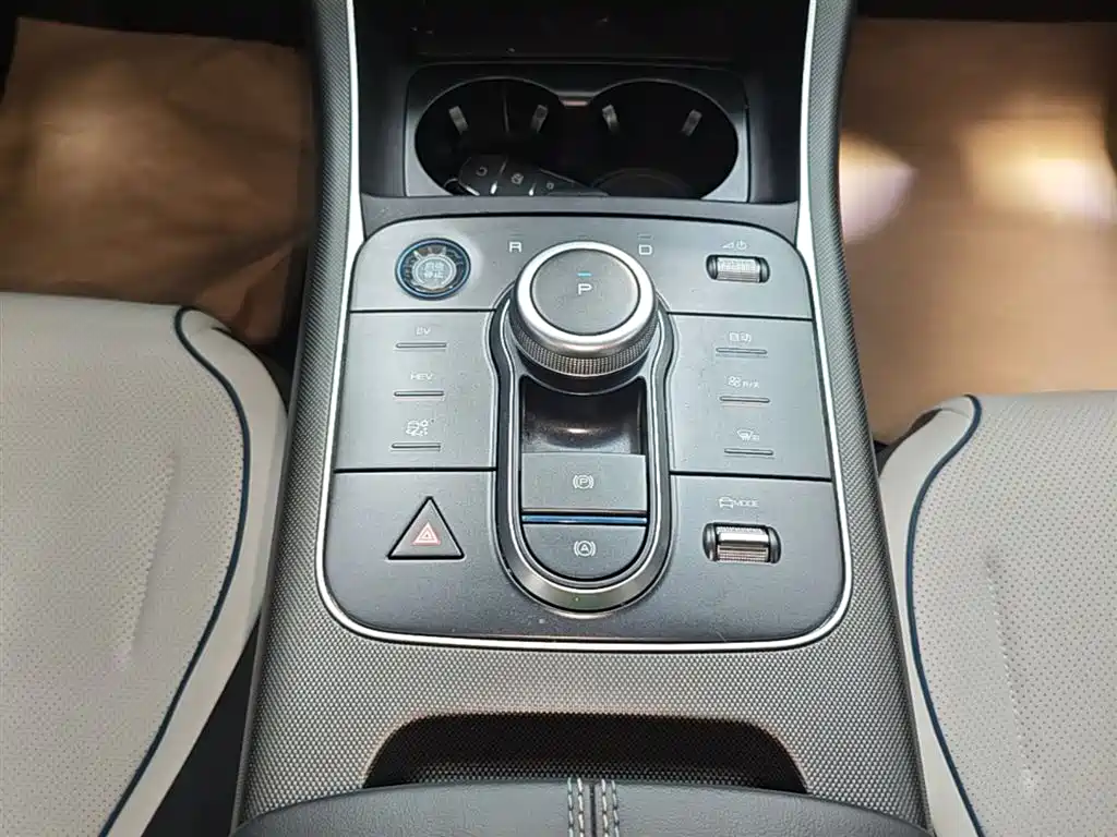 BYD Destroyer 05 2024 Glory Edition DM-i 55KM Luxury фото 14