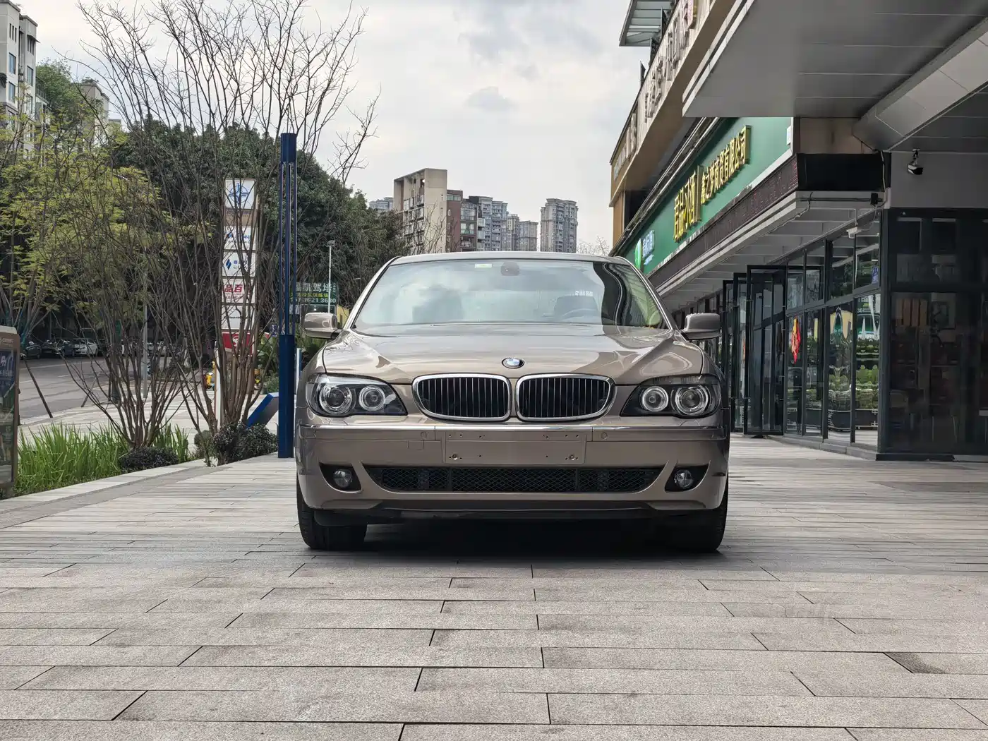 BMW 7 Series 2009 2009 730Li Luxury