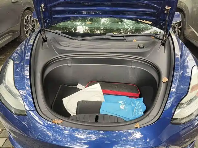 Tesla Model 3 (Import) 2019 Performance High-Efficiency All-Wheel Drive Version — фото 3