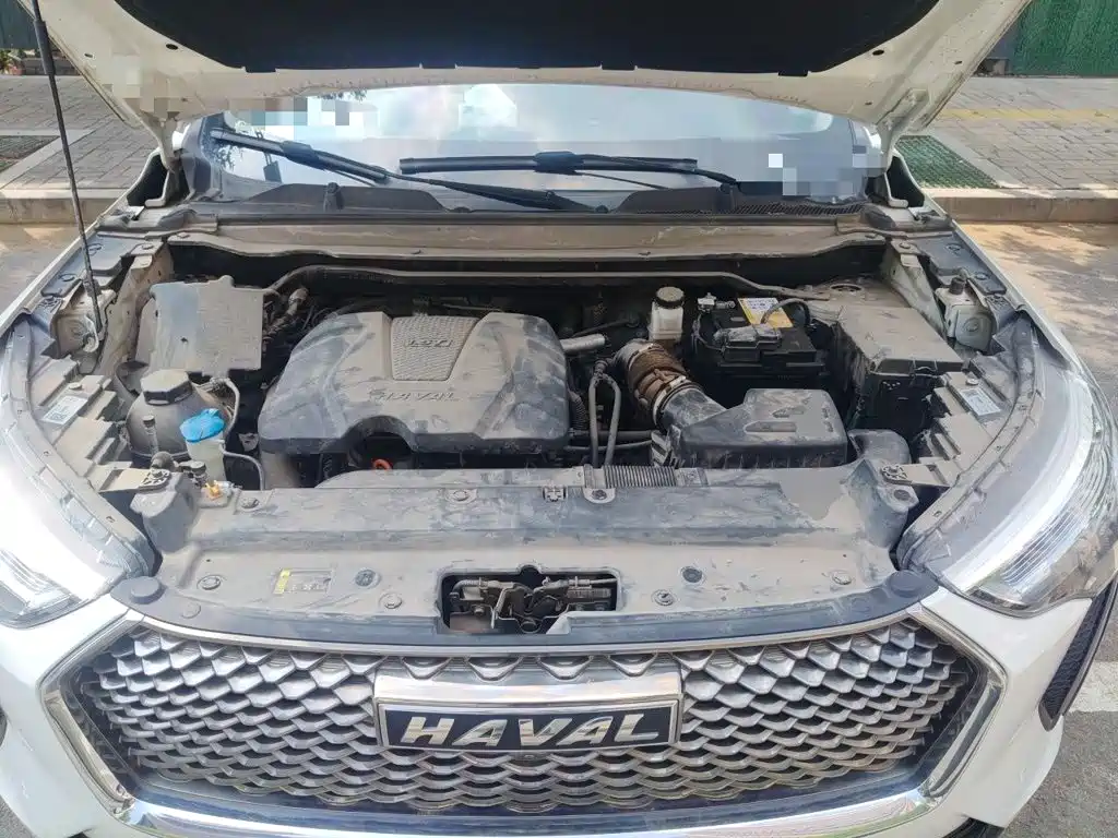 Haval First Love 2021 2021 1.5T Automatic Premium Edition