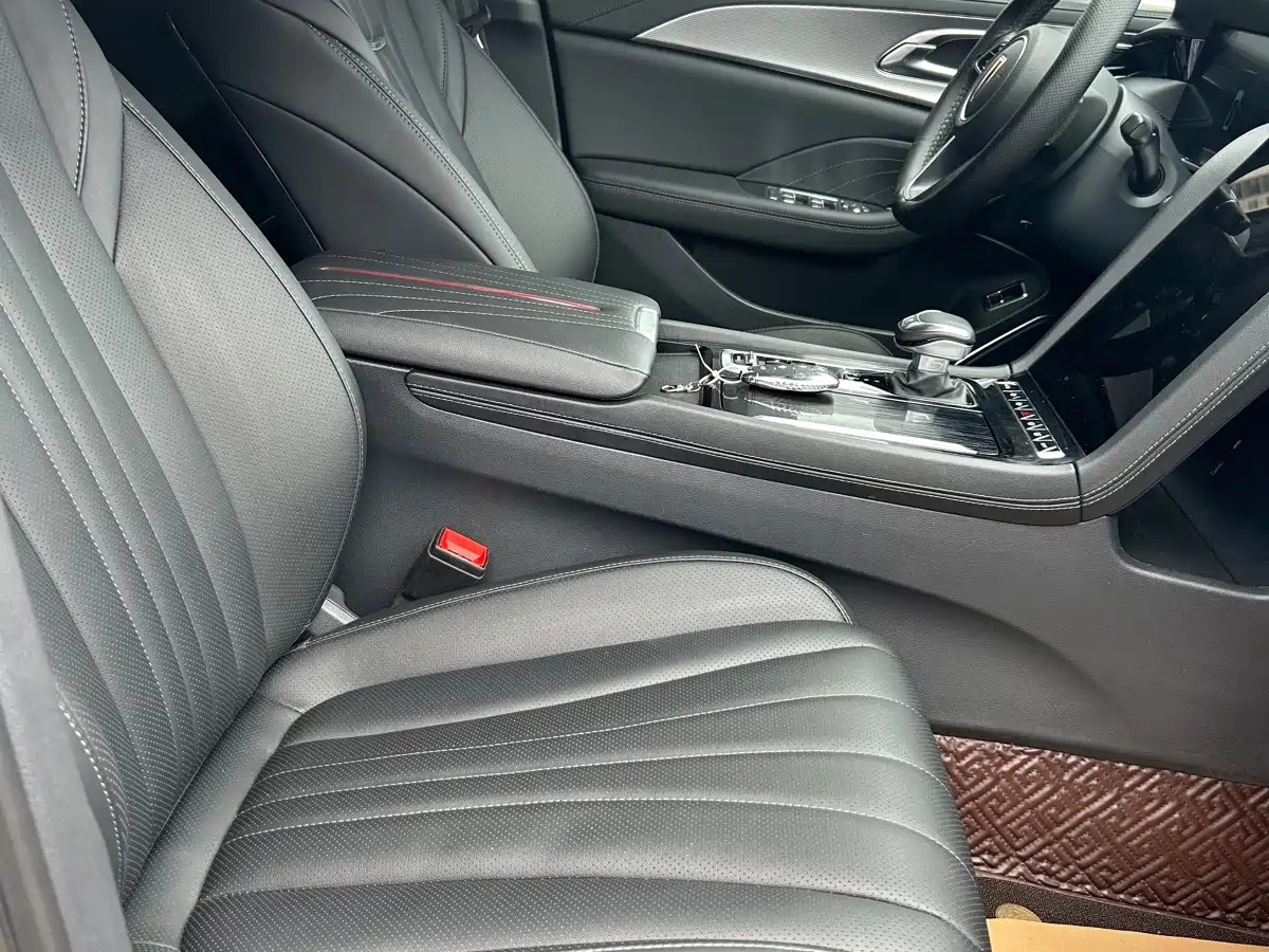 Hongqi H5 2023 2.0T Auto Smart Connect Flag Comfort фото 5