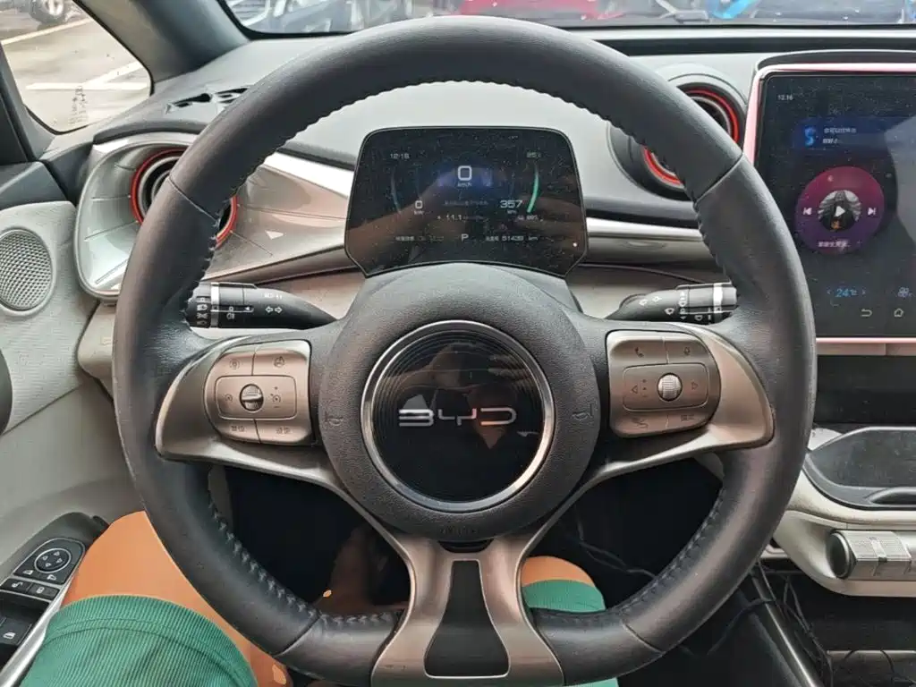 BYD Dolphin 2022 2021 405km Freedom Edition