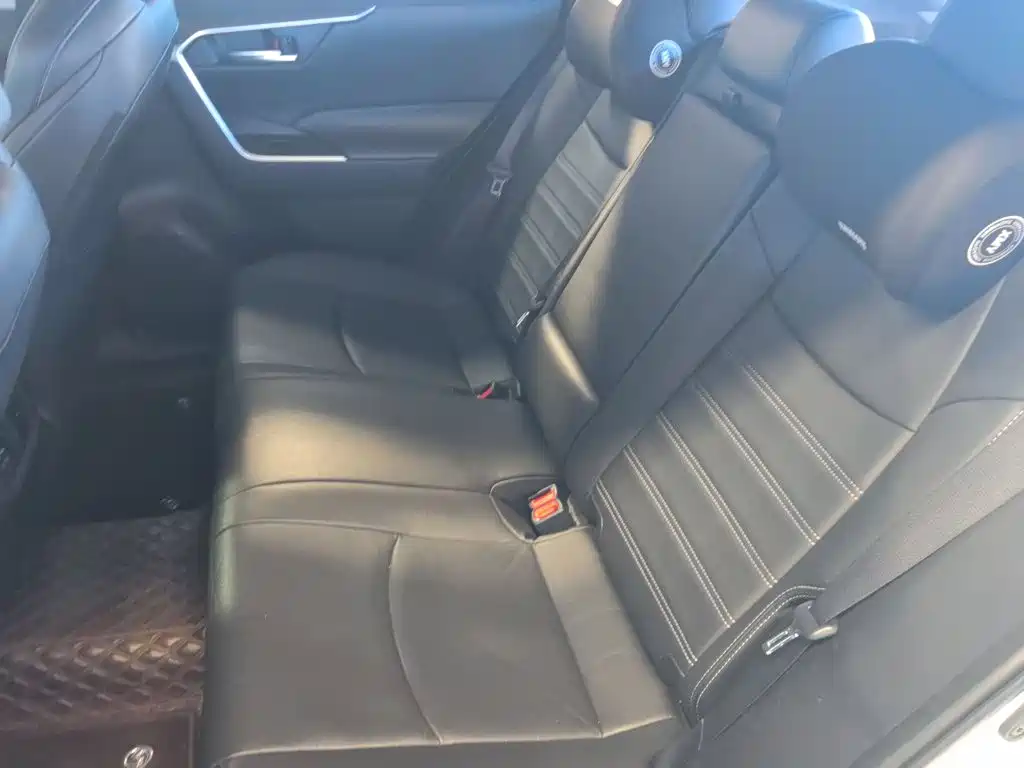 Toyota Wildlander 2020 2020 2.0L CVT 2WD Luxury Edition
