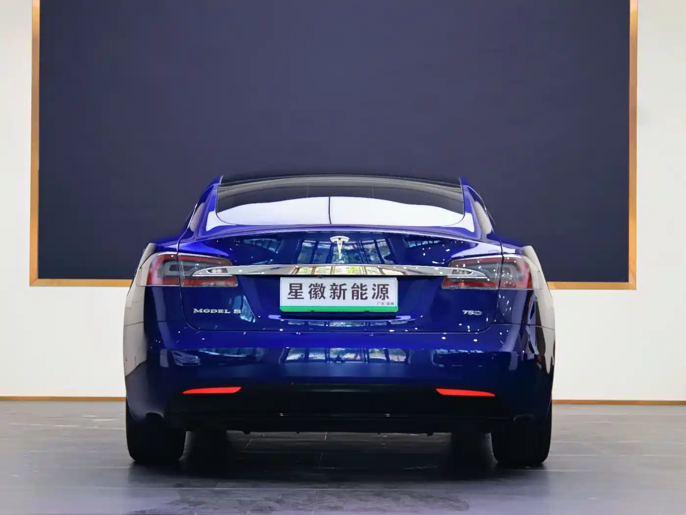 TESLA MODEL S