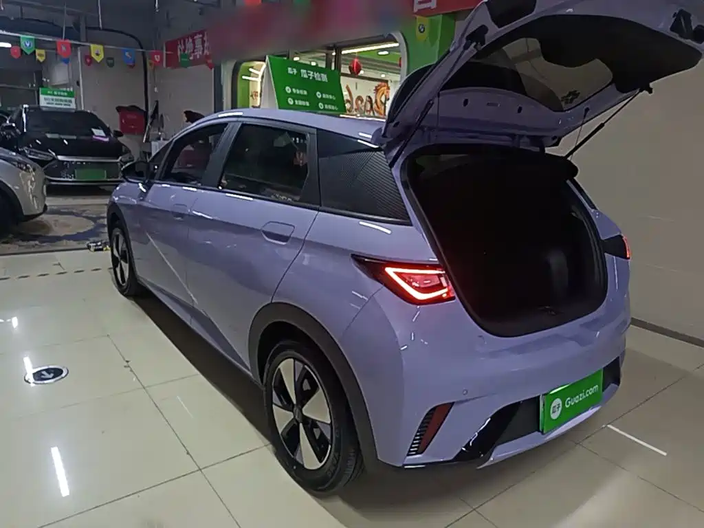 Фото 5 - BYD Dolphin
