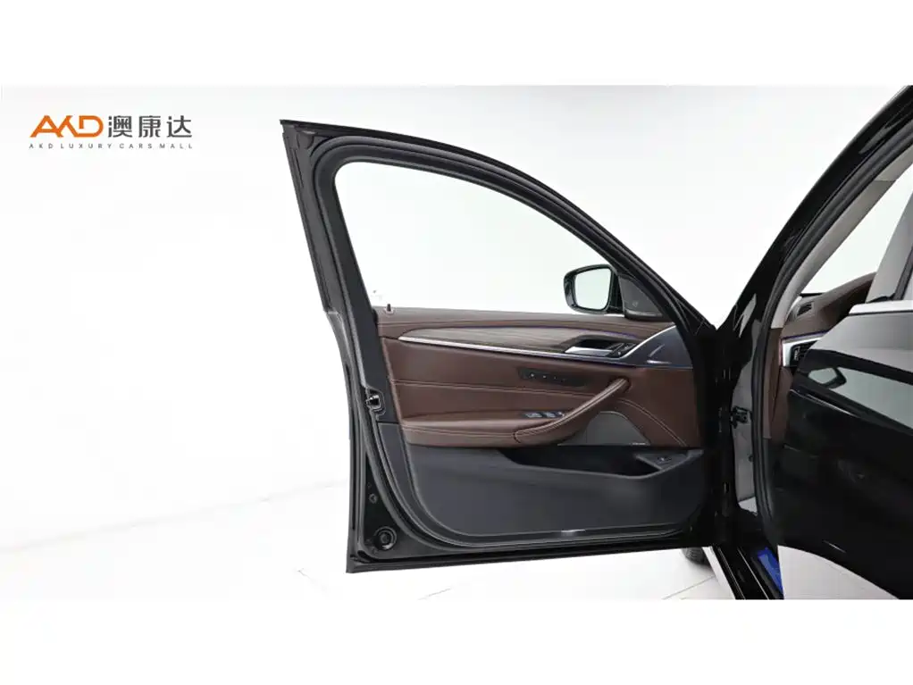 BMW 5 Series 2020 530Li Premium Luxury Package фото 10