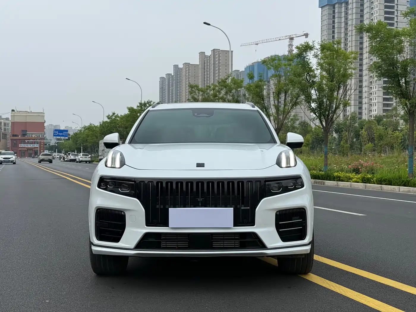 Lynk & Co 09 EM-P 2024 2.0TD EM-P AWD PRO 7-Seater фото 2