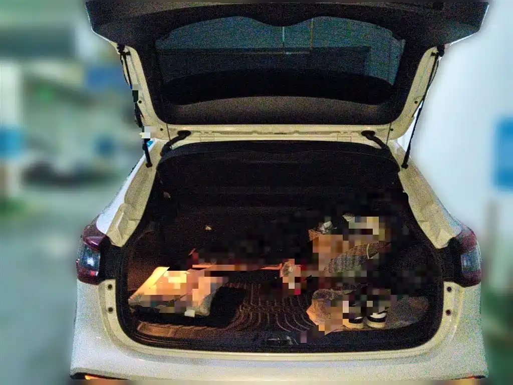 Nissan Qashqai, миниатюра 10