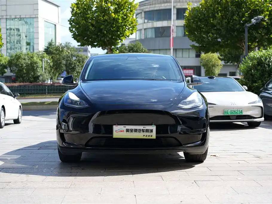 Tesla Model Y 2021 2021 Standard Range Rear-Wheel Drive