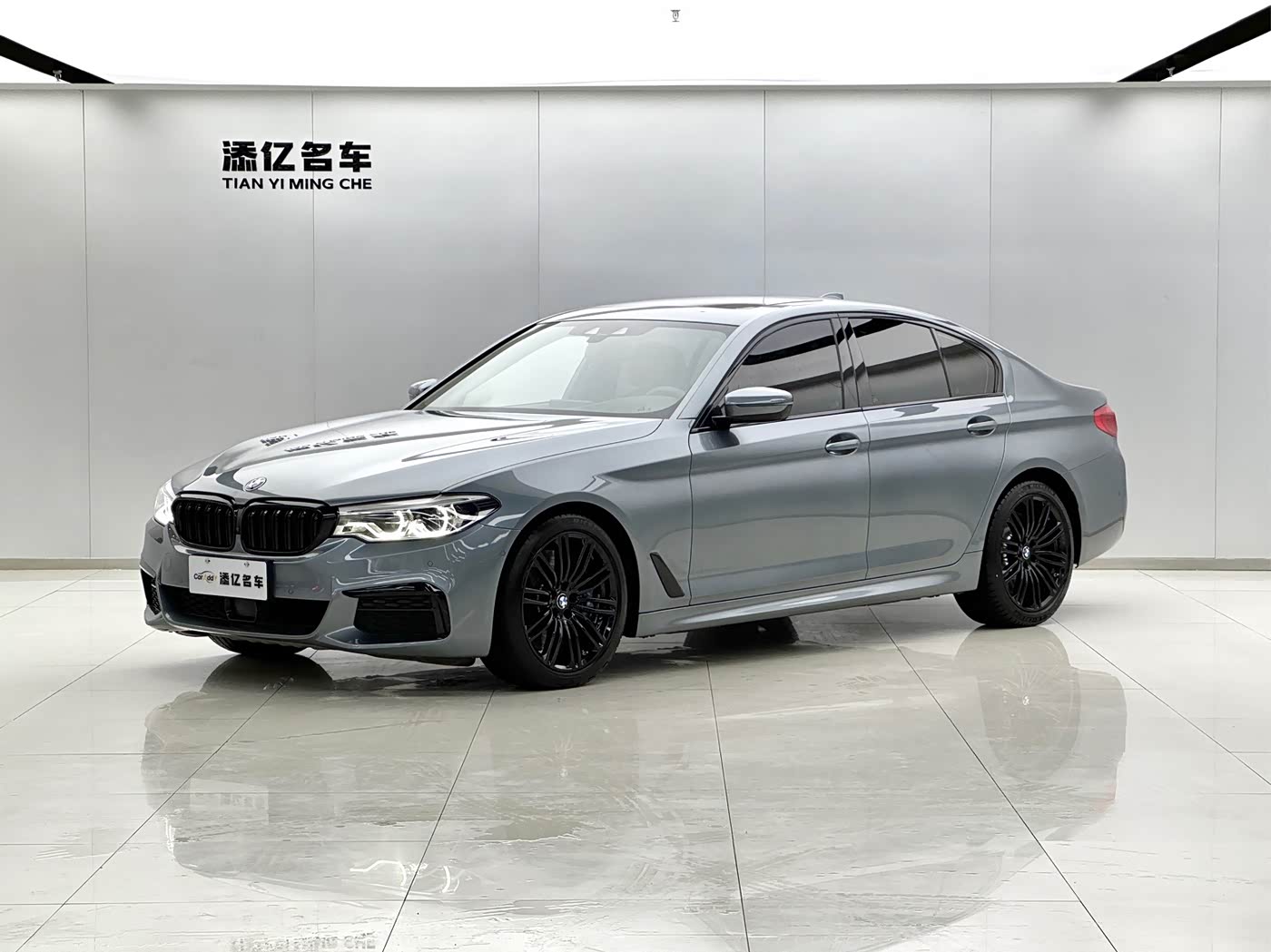 BMW 5 Series (Import)