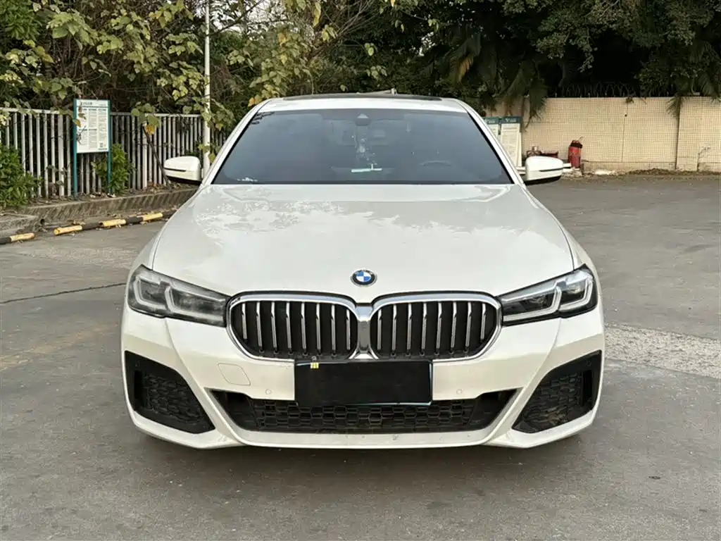 BMW 5 Series 2021 530Li xDrive M Sport Package фото 26
