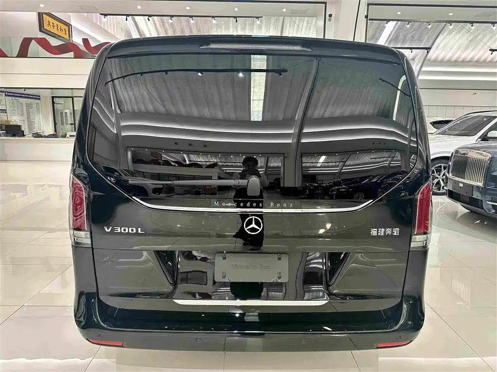 Mercedes-Benz V-Class 2025 2024 V 300 L Long Wheelbase Luxury Edition