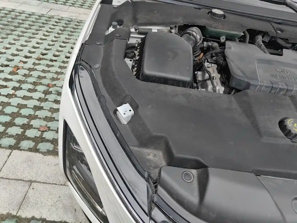 Photo 21 - Wuling Motors Wuling Xingguang