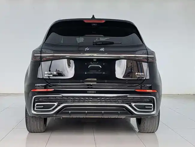 Hongqi HS5 2023 2.0T Flag Enjoy Pro Edition фото 8