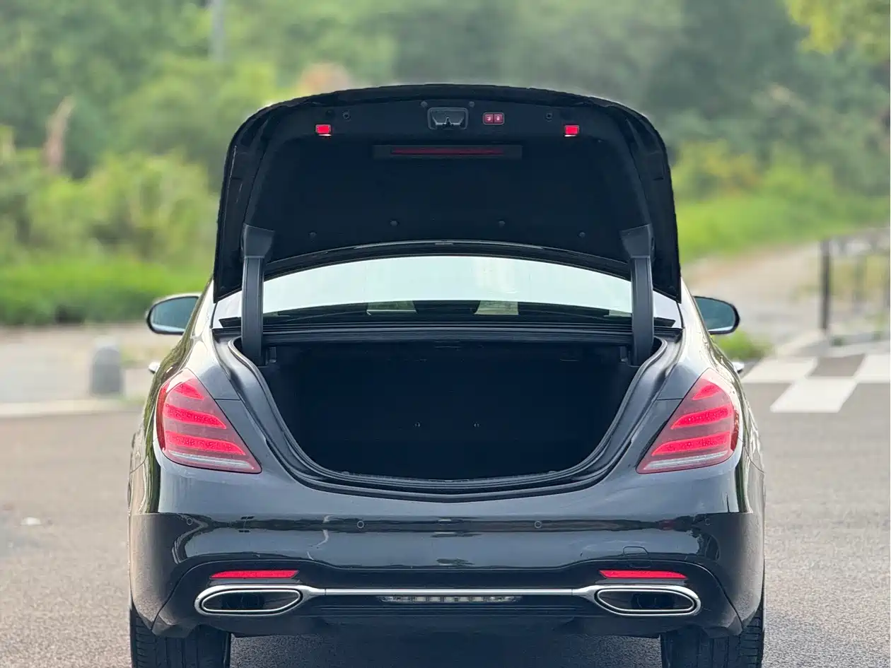 Mercedes-Benz S-Class 2019 S 450 L 4MATIC фото 23