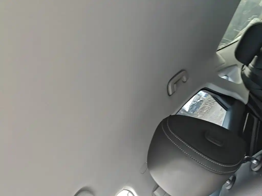 Geely Borui PHEV 2021 2021 1.5T ePro Leading Edition